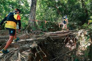 BIB: 
                            <button type="button" onclick="openModal(27799941)" class="btn btn-primary btn-sm float-right btn-popup" data-toggle="modal" data-target=".modal-high-quality">
                        <i class="fas fa-shopping-cart"></i> Add to Cart
                    </button>
                                            <button type="button" onclick="isThisMe(27799941, true)" class="btn btn-success btn-sm float-right btn-popup btn-isme hidden" data-toggle="tooltip" data-placement="bottom" title="นี่คือรูปของคุณใช่ไหม คลิกที่นี่เพื่อเอาเข้าอัลบั้ม">
                        <i class="fas fa-plus"></i> Add to album
                    </button>
                    <button type="button" onclick="isThisMe(27799941, false)" class="btn btn-warning btn-sm float-right btn-popup btn-isnotme hidden">
                        <i class="fas fa-ban"></i> Remove from album
                    </button>